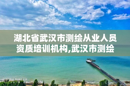 湖北省武汉市测绘从业人员资质培训机构,武汉市测绘院怎么样。