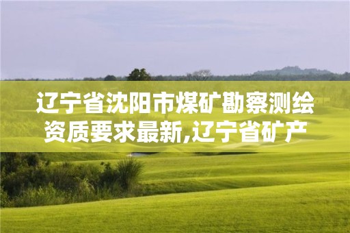 辽宁省沈阳市煤矿勘察测绘资质要求最新,辽宁省矿产勘查院有限责任公司待遇。