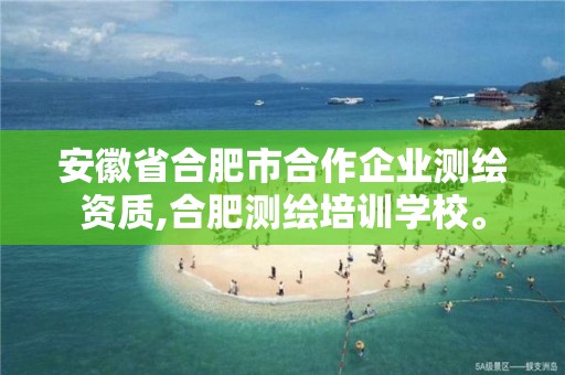 安徽省合肥市合作企业测绘资质,合肥测绘培训学校。