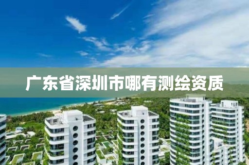 广东省深圳市哪有测绘资质