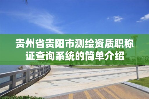 贵州省贵阳市测绘资质职称证查询系统的简单介绍