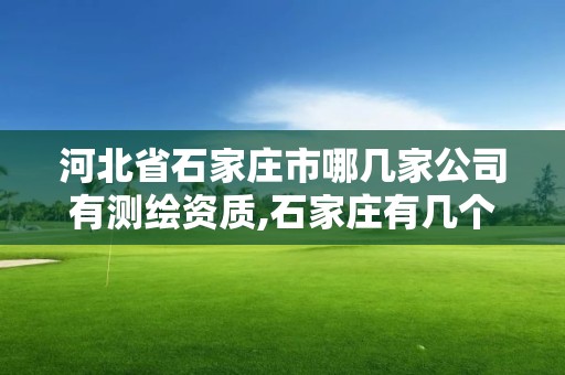 河北省石家庄市哪几家公司有测绘资质,石家庄有几个测绘局。