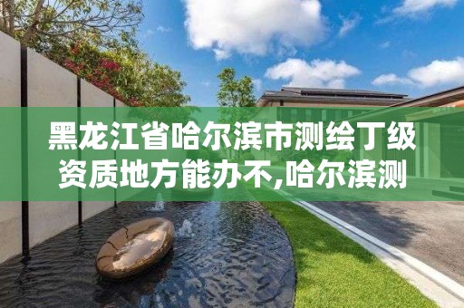 黑龙江省哈尔滨市测绘丁级资质地方能办不,哈尔滨测绘招聘。