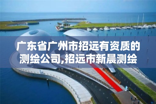 广东省广州市招远有资质的测绘公司,招远市新晨测绘有限公司。