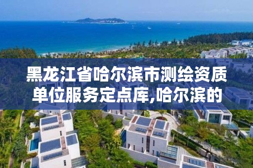 黑龙江省哈尔滨市测绘资质单位服务定点库,哈尔滨的测绘公司有哪些。