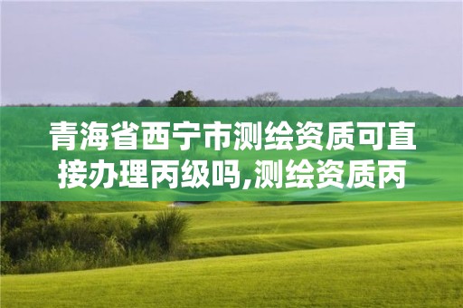 青海省西宁市测绘资质可直接办理丙级吗,测绘资质丙丁级取消时间。