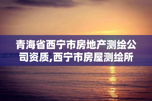 青海省西宁市房地产测绘公司资质,西宁市房屋测绘所。