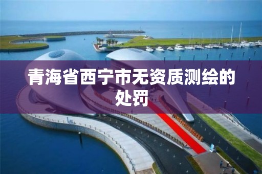 青海省西宁市无资质测绘的处罚