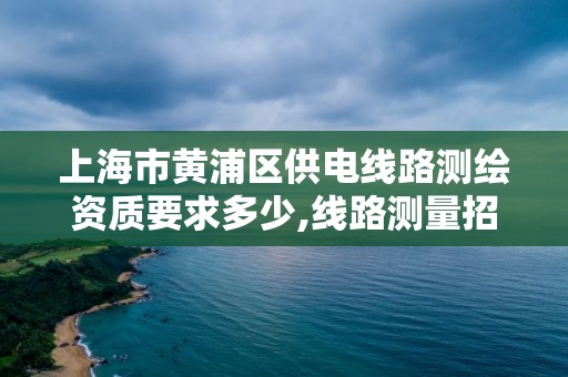 上海市黄浦区供电线路测绘资质要求多少,线路测量招聘。