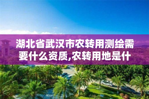 湖北省武汉市农转用测绘需要什么资质,农转用地是什么意思。