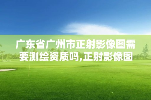 广东省广州市正射影像图需要测绘资质吗,正射影像图质量检查。