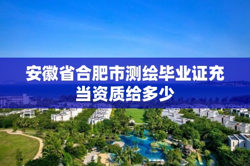 安徽省合肥市测绘毕业证充当资质给多少