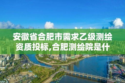 安徽省合肥市需求乙级测绘资质投标,合肥测绘院是什么单位。