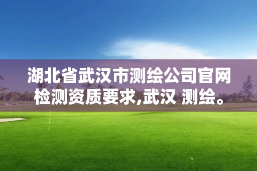 湖北省武汉市测绘公司官网检测资质要求,武汉 测绘。