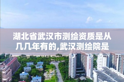 湖北省武汉市测绘资质是从几几年有的,武汉测绘院是什么级别。