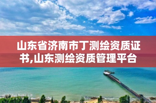 山东省济南市丁测绘资质证书,山东测绘资质管理平台。