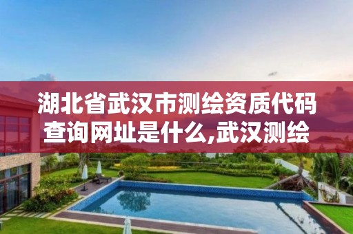 湖北省武汉市测绘资质代码查询网址是什么,武汉测绘有限公司。