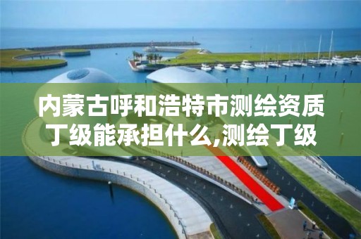 内蒙古呼和浩特市测绘资质丁级能承担什么,测绘丁级资质人员条件。