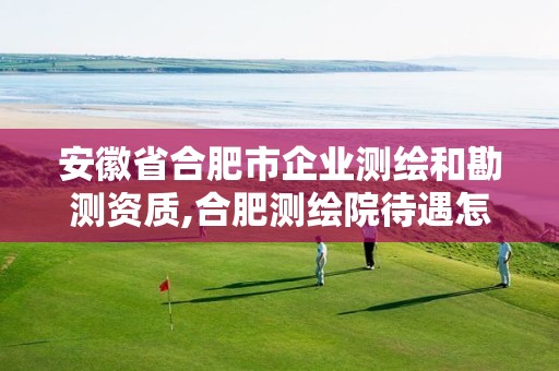 安徽省合肥市企业测绘和勘测资质,合肥测绘院待遇怎么样。