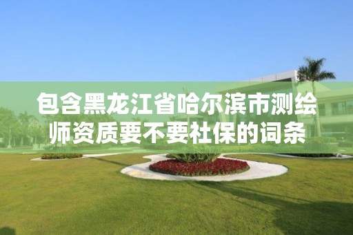 包含黑龙江省哈尔滨市测绘师资质要不要社保的词条