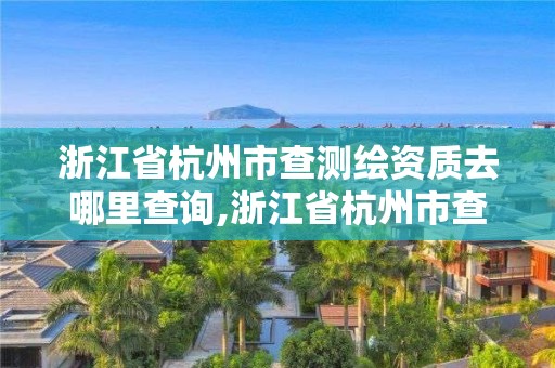 浙江省杭州市查测绘资质去哪里查询,浙江省杭州市查测绘资质去哪里查询结果。