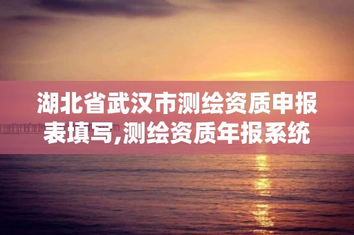 湖北省武汉市测绘资质申报表填写,测绘资质年报系统。