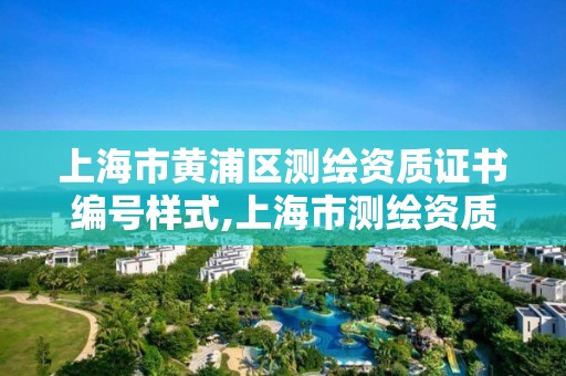 上海市黄浦区测绘资质证书编号样式,上海市测绘资质单位名单。