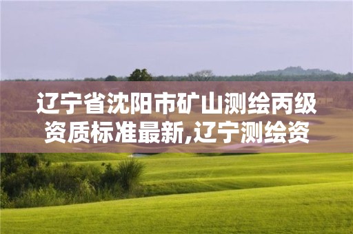 辽宁省沈阳市矿山测绘丙级资质标准最新,辽宁测绘资质查询。