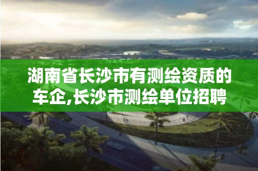 湖南省长沙市有测绘资质的车企,长沙市测绘单位招聘。