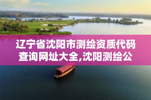 辽宁省沈阳市测绘资质代码查询网址大全,沈阳测绘公司哪家强哪家好。