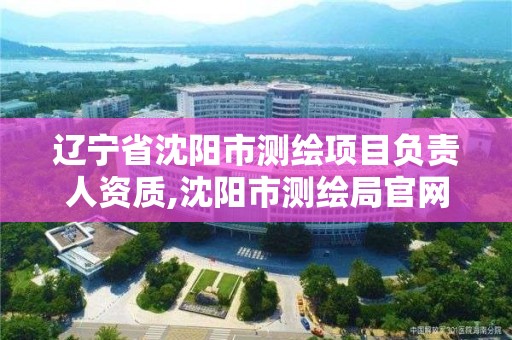 辽宁省沈阳市测绘项目负责人资质,沈阳市测绘局官网。