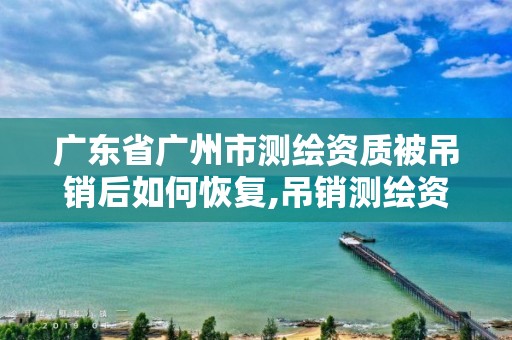 广东省广州市测绘资质被吊销后如何恢复,吊销测绘资质证书。