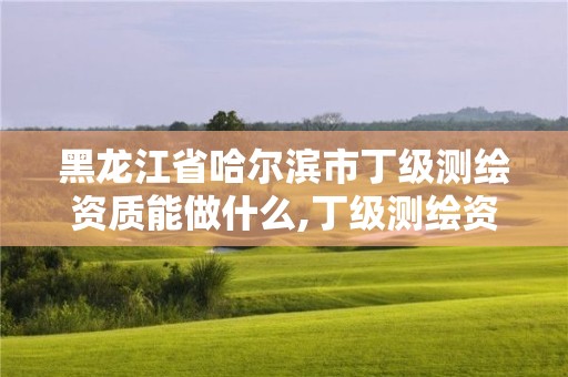 黑龙江省哈尔滨市丁级测绘资质能做什么,丁级测绘资质业务范围。