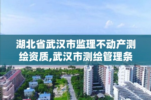 湖北省武汉市监理不动产测绘资质,武汉市测绘管理条例。