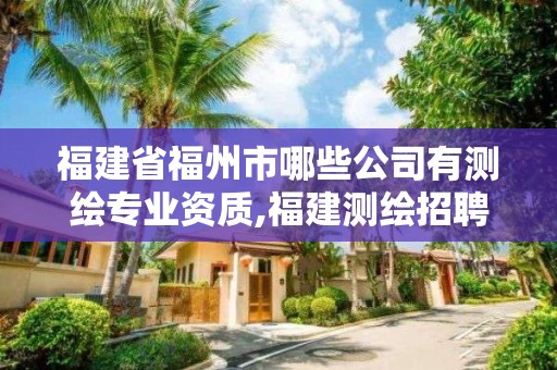 福建省福州市哪些公司有测绘专业资质,福建测绘招聘。