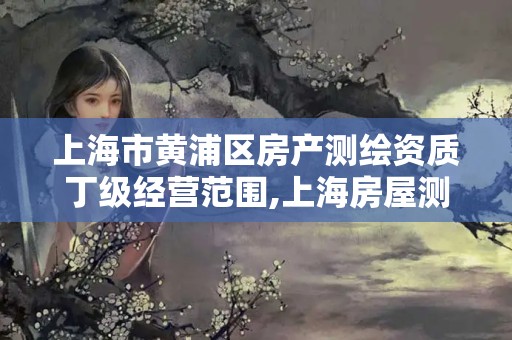 上海市黄浦区房产测绘资质丁级经营范围,上海房屋测绘公司。