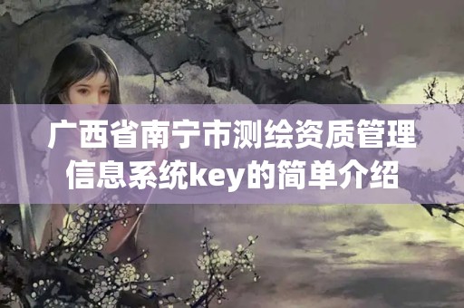 广西省南宁市测绘资质管理信息系统key的简单介绍