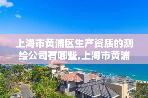 上海市黄浦区生产资质的测绘公司有哪些,上海市黄浦区生产资质的测绘公司有哪些地方。