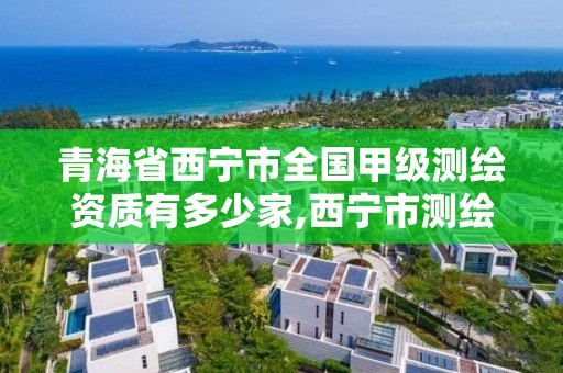 青海省西宁市全国甲级测绘资质有多少家,西宁市测绘院怎么样。