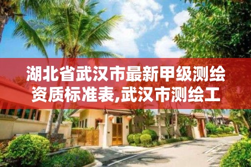 湖北省武汉市最新甲级测绘资质标准表,武汉市测绘工程技术规定。