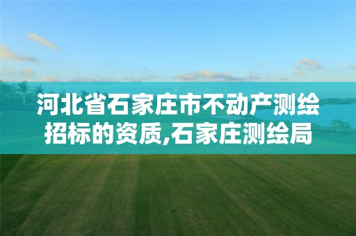 河北省石家庄市不动产测绘招标的资质,石家庄测绘局属于哪个区。