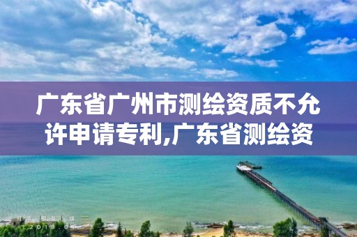 广东省广州市测绘资质不允许申请专利,广东省测绘资质管理系统。