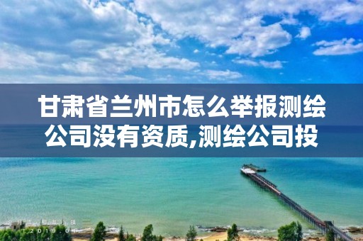 甘肃省兰州市怎么举报测绘公司没有资质,测绘公司投诉管理制度。