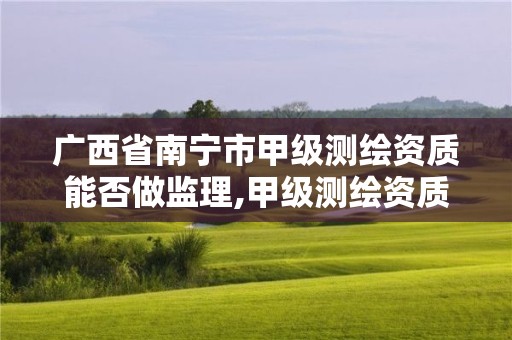 广西省南宁市甲级测绘资质能否做监理,甲级测绘资质人员数量要求。