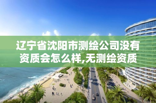 辽宁省沈阳市测绘公司没有资质会怎么样,无测绘资质公司进行测绘的后果。