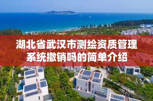 湖北省武汉市测绘资质管理系统撤销吗的简单介绍