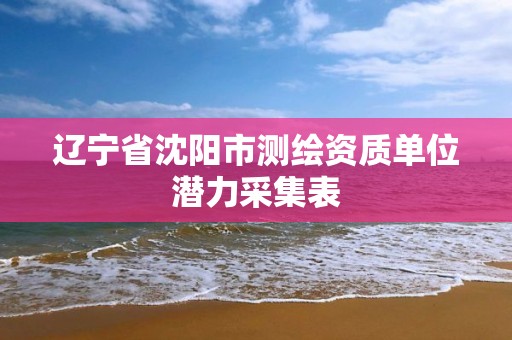 辽宁省沈阳市测绘资质单位潜力采集表