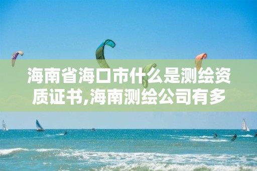 海南省海口市什么是测绘资质证书,海南测绘公司有多少家。