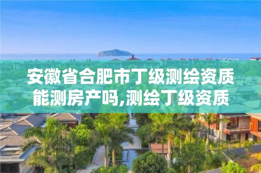 安徽省合肥市丁级测绘资质能测房产吗,测绘丁级资质申报条件。