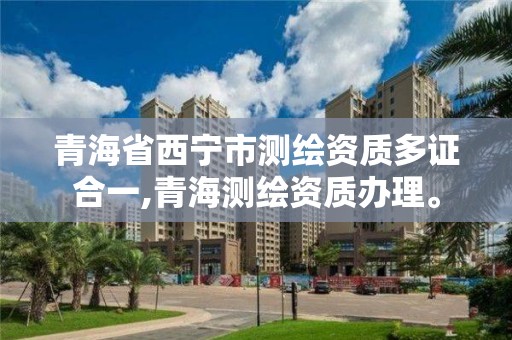 青海省西宁市测绘资质多证合一,青海测绘资质办理。